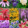 Menu Perennial Cutflower Garden -plant shop 77461 perennial cutflower garden
