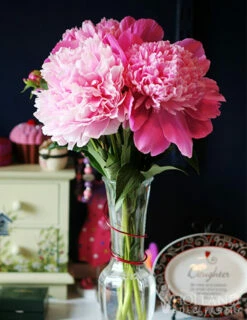 Menu Peony Collection -plant shop 77477 sarah bernhardt peony 3 2