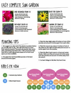 Menu Easy Complete Sun Garden -plant shop 77591 easy complete sun garden 2