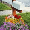 Menu Sunny Perennial Mailbox Garden -plant shop 77625 sunny perennial mailbox garden