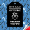 Menu Exclusive Shady Mystery Box -plant shop 79248 shade mystery box
