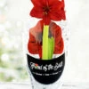 Menu Barbosa Potted Amaryllis - Gift Ready 1 Menu Barbosa Potted Amaryllis - Gift Ready -plant shop 92210 pre potted barbosa