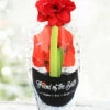 Menu Bingo Potted Amaryllis - Gift Ready -plant shop 92211 pre potted bingo