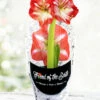 Menu Minerva Potted Amaryllis - Gift Ready -plant shop 92213 pre potted minerva