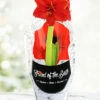 Menu Red Lion Potted Amaryllis - Gift Ready