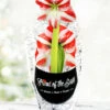 Menu Super Star Potted Amaryllis - Gift Ready -plant shop 92215 pre potted super star 1