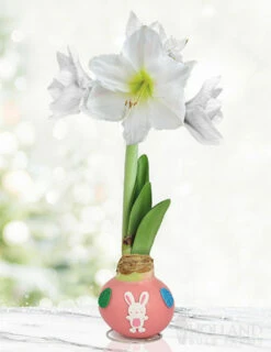 Menu Hippity Hoppity Waxed Amaryllis