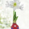 Menu Festive Parade Waxed Amaryllis 1 Menu Festive Parade Waxed Amaryllis -plant shop 92436 festive parade waxed amaryllis