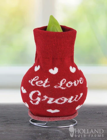 Menu Let Love Grow Sweater Amaryllis 4 Menu Let Love Grow Sweater Amaryllis - Image 2