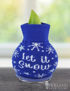 Menu Let It Snow Sweater Amaryllis -plant shop Snow 370 480 bulbs logo